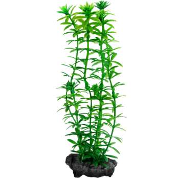 Tetra Deco Art искусственное растение Элодея M (23 см)